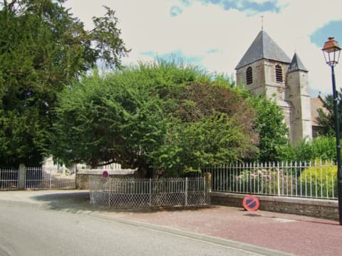 Élagueur Bouquetot
