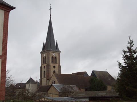 Élagueur Bourth