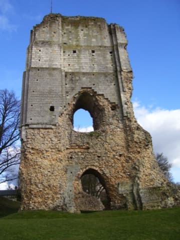 Élagueur Brionne