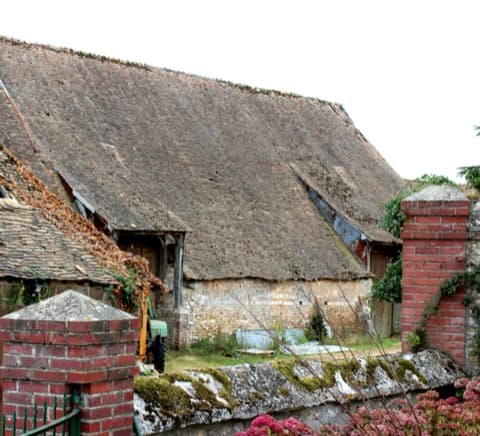 Élagueur Daubeuf-la-Campagne