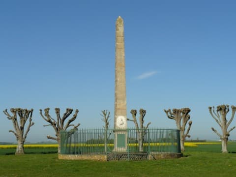 Élagueur Épieds