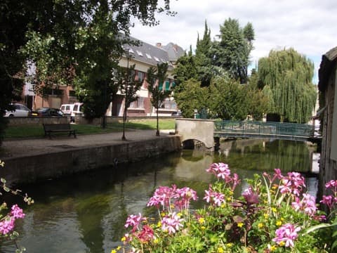 Élagueur Louviers