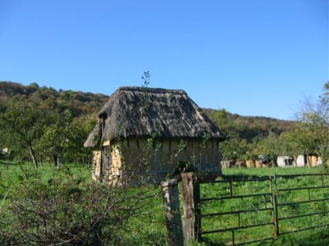 Élagueur Marais-Vernier