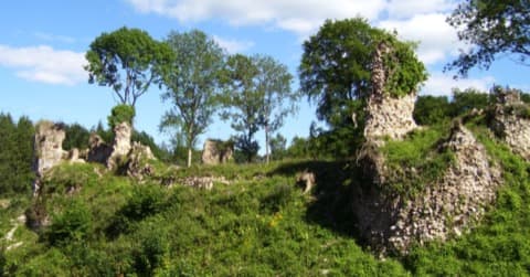 Élagueur Montfort-sur-Risle