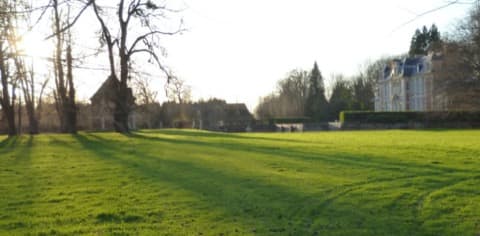 Élagueur Saint-Maclou