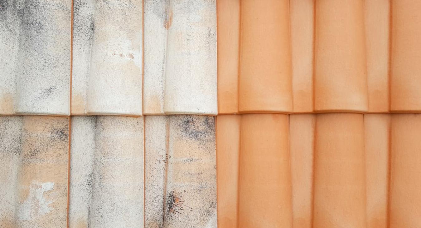 Nettoyage de toitures et gouttières, Peinture & hydrofugation de toiture 27 Eure